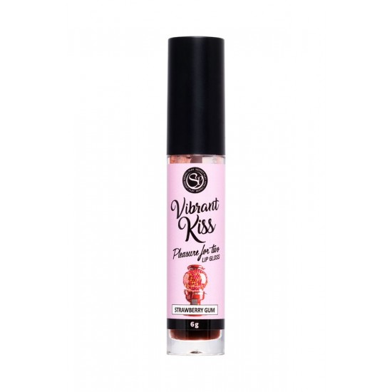 SECRET PLAY Lip Gloss Vibrant Kiss' Çilekli Sakız Aromalı Dudak Parlatıcı, 6 gr