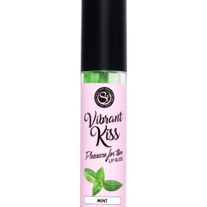                     SECRET PLAY Dudak Parlatıcı Nane Aromalı, 6 gr