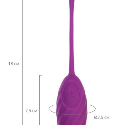 A-Toys by Toyfa Titreşimli yumurta Purr, silikon, mor, 18 cm