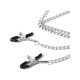 Nipple Clamps with Chain 30 CM Paslanmaz Çelik Zincirli Göğüs Uyarıcı Kolyeli Meme Ucu Klips